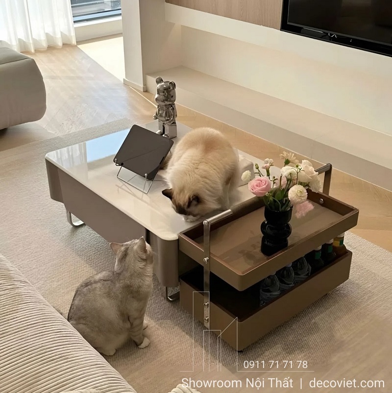 Bàn Sofa Cao Cấp Hiện Đại 363S