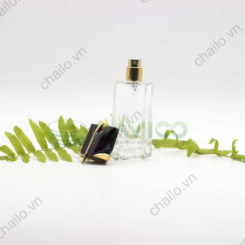 vỏ chai lọ đựng nước hoa cao cấp 50ml