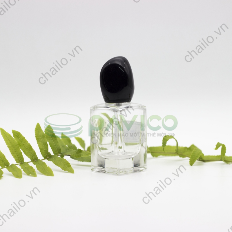 Vỏ chai lọ đựng nước hoa loại nhỏ 30ml