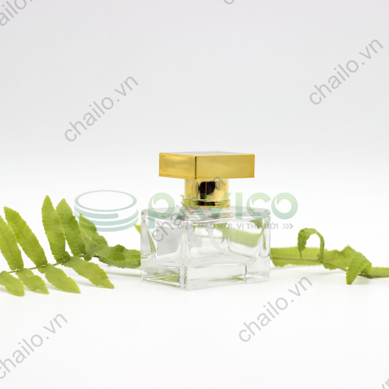 Vỏ chai lọ nước hoa 30ml thủy tinh trong
