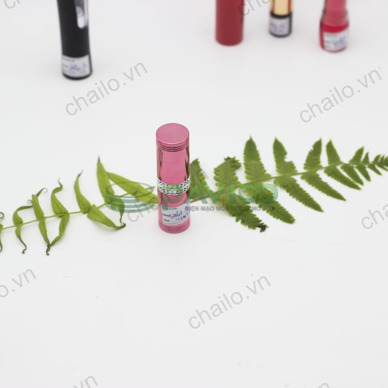 Vỏ son môi cao cấp S-22