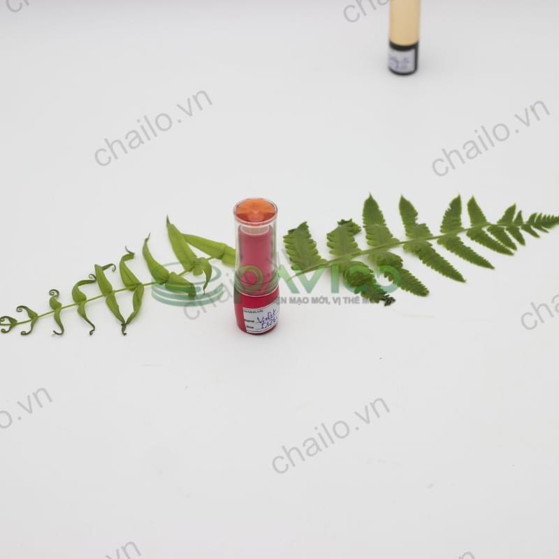 Vỏ son môi cao cấp S-26