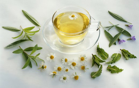Nên tạo thói quen uống trà xanh Nên tạo thói quen uống trà xanh