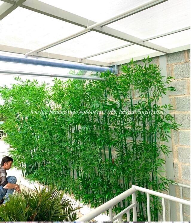 Địa chỉ bán cây trúc, cây tre giả tại Hà Nội, giá rẻ, uy tín.