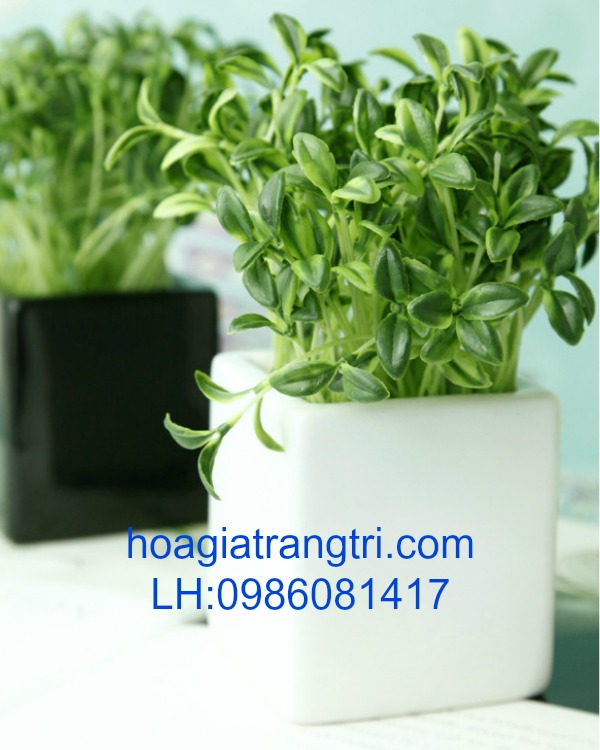 Cách thức mua hoa giả ở đâu là đơn giản và nhanh nhất