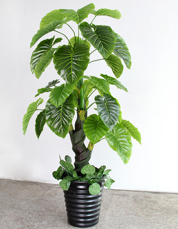 Mua cây cảnh giả trong nhà đẹp và chất