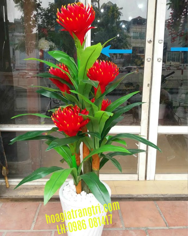 Giá bán cây giả - cây trà vương tại Hoa Lụa Phương Thảo