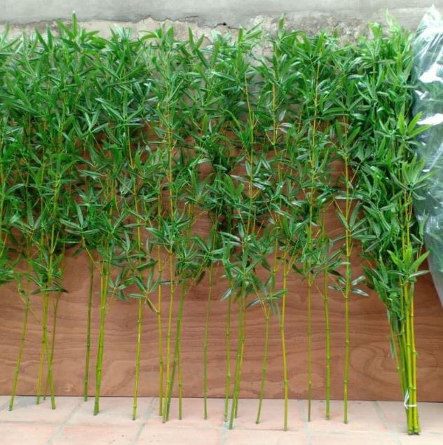 Cây trúc quân trử giả trang trí nội thất đẹp