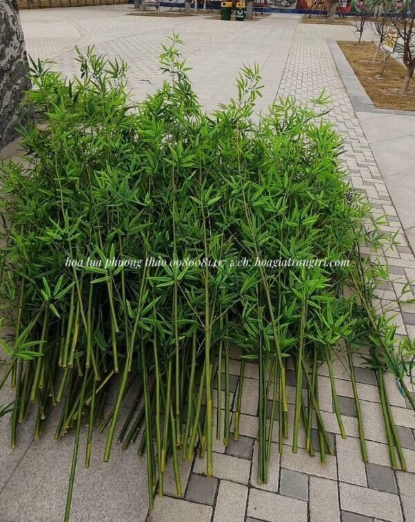 Địa chỉ bán cây trúc, cây tre giả tại Hà Nội, giá rẻ, uy tín. Địa chỉ bán cây trúc, cây tre giả tại Hà Nội, giá rẻ, uy tín.