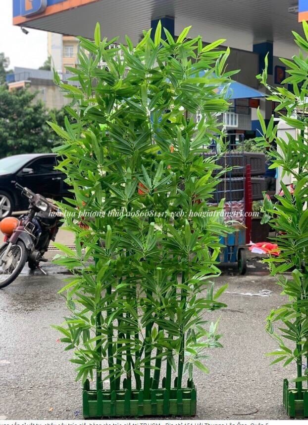 Địa chỉ bán cây trúc, cây tre giả tại Hà Nội, giá rẻ, uy tín. Địa chỉ bán cây trúc, cây tre giả tại Hà Nội, giá rẻ, uy tín.