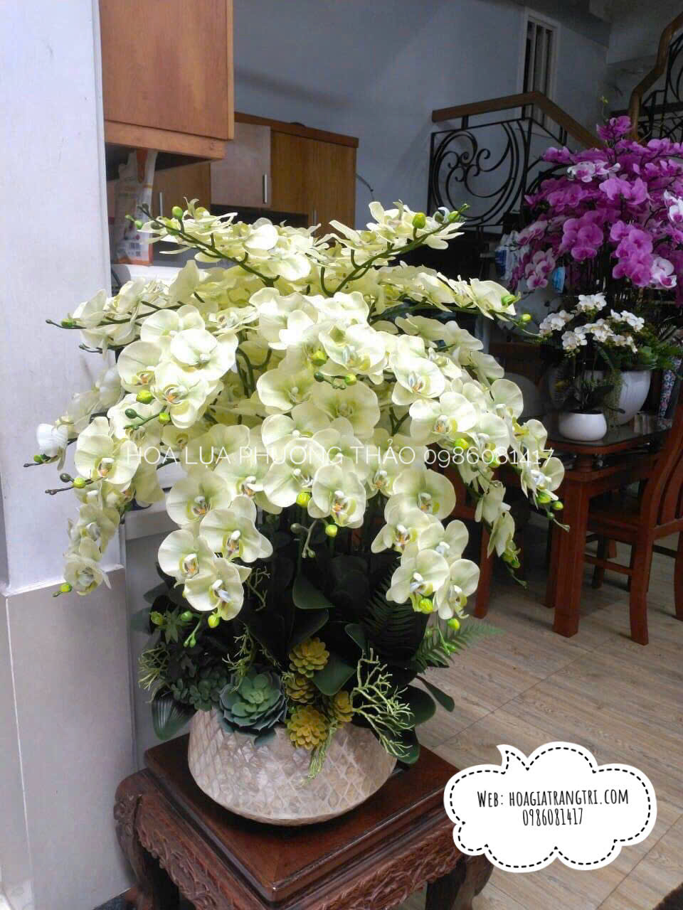 Chậu lan hồ điệp giả