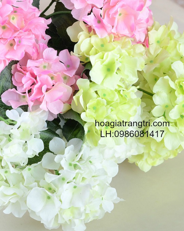 Hoa tú cầu