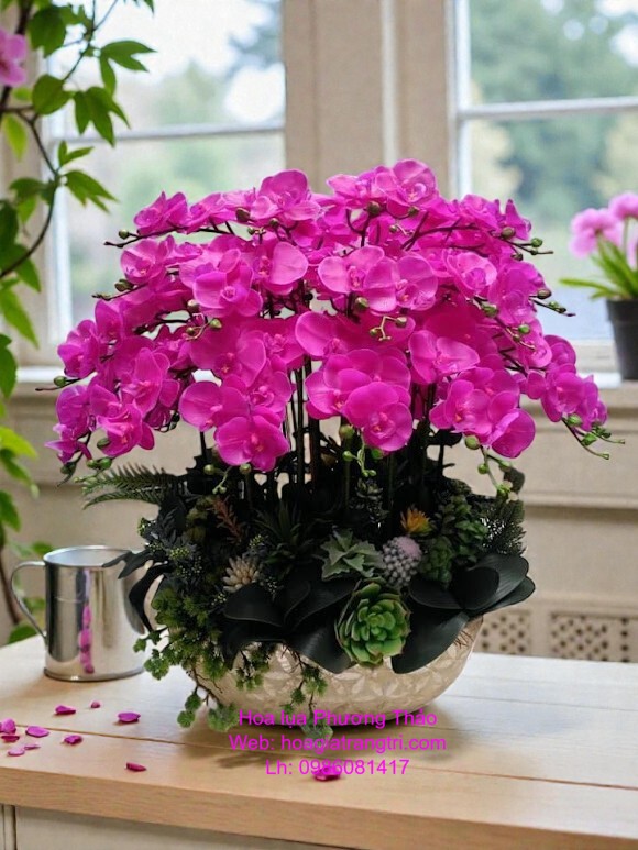 Hoa lan giả cao cấp