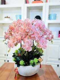 hoa lan hồ điệp