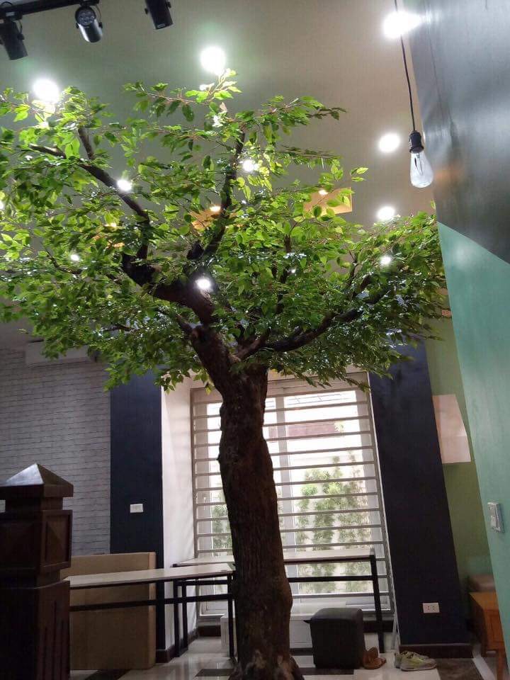 Giá bán cây giả tại Hà Nội tốt nhất tại Phương Thảo