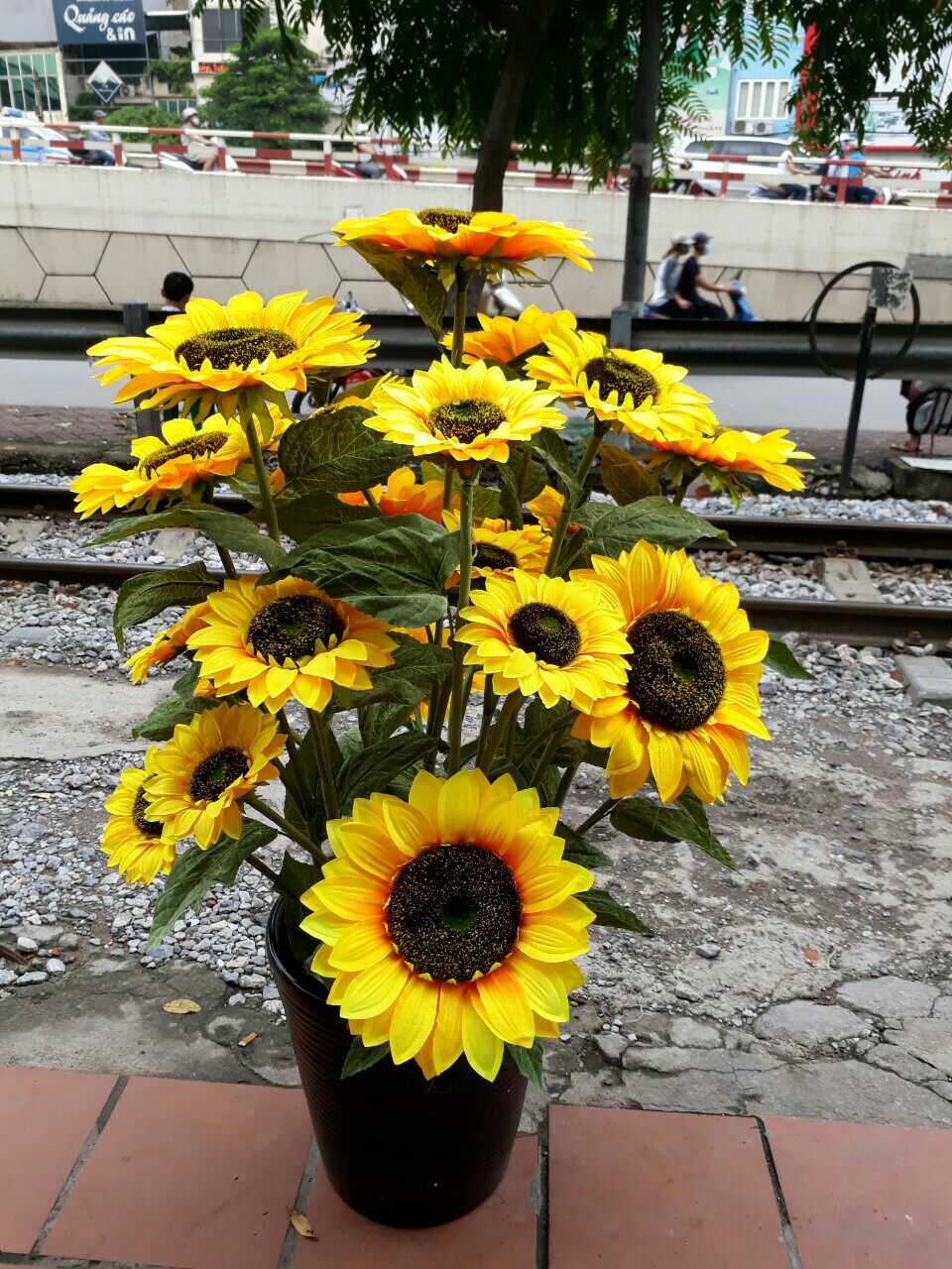 Mua cây cảnh giả giá rẻ trên thị trường tốt nhất tại đây