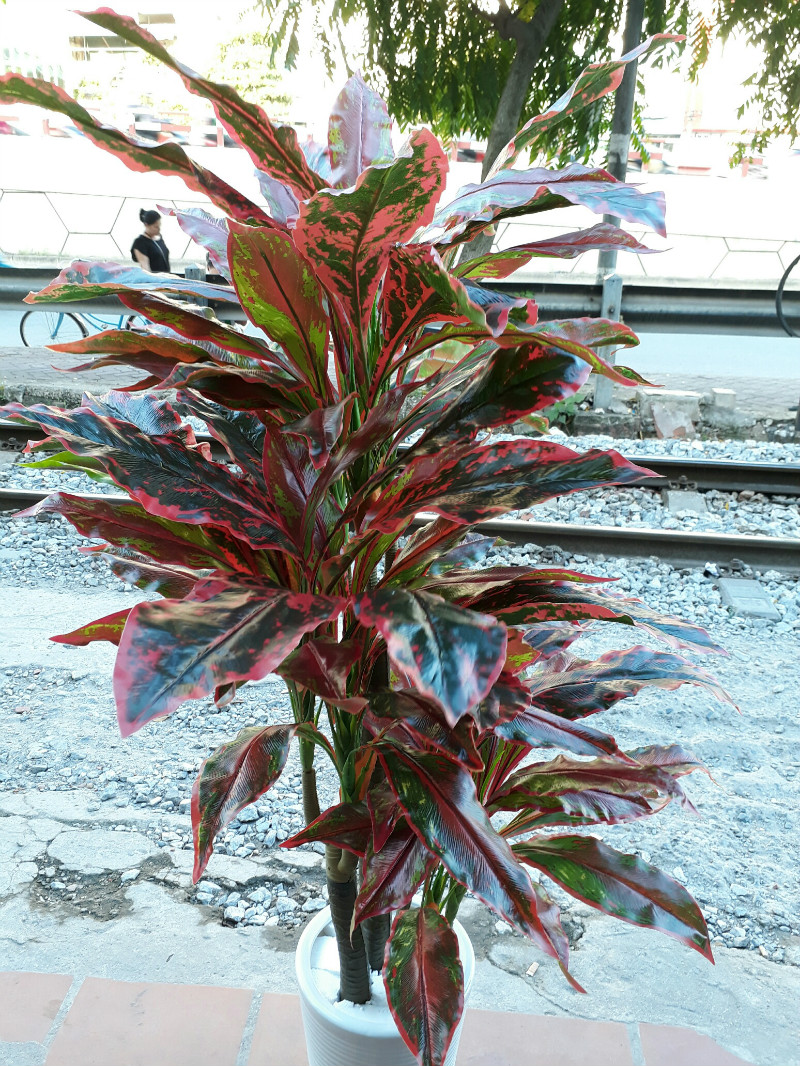 Bán cây giả lá đỏ trang trí nội thất đẹp