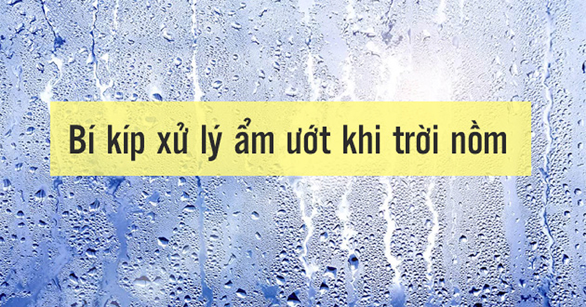 Cách chống nồm ẩm trong nhà vào mùa nồm đơn giản, hiệu quả