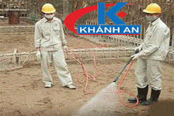 Phòng chống mối cho công trình xây dựng