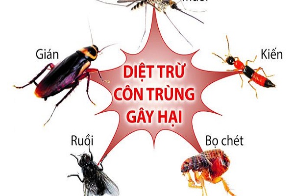 Tuyệt chiêu diệt côn trùng vô cùng hiệu quả