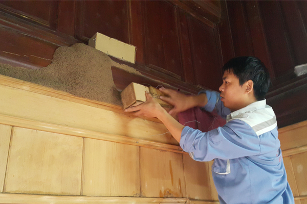 Diệt mối tận gốc