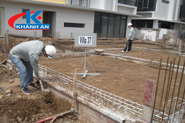 Biện pháp phòng chống mối cho công trình xây dựng