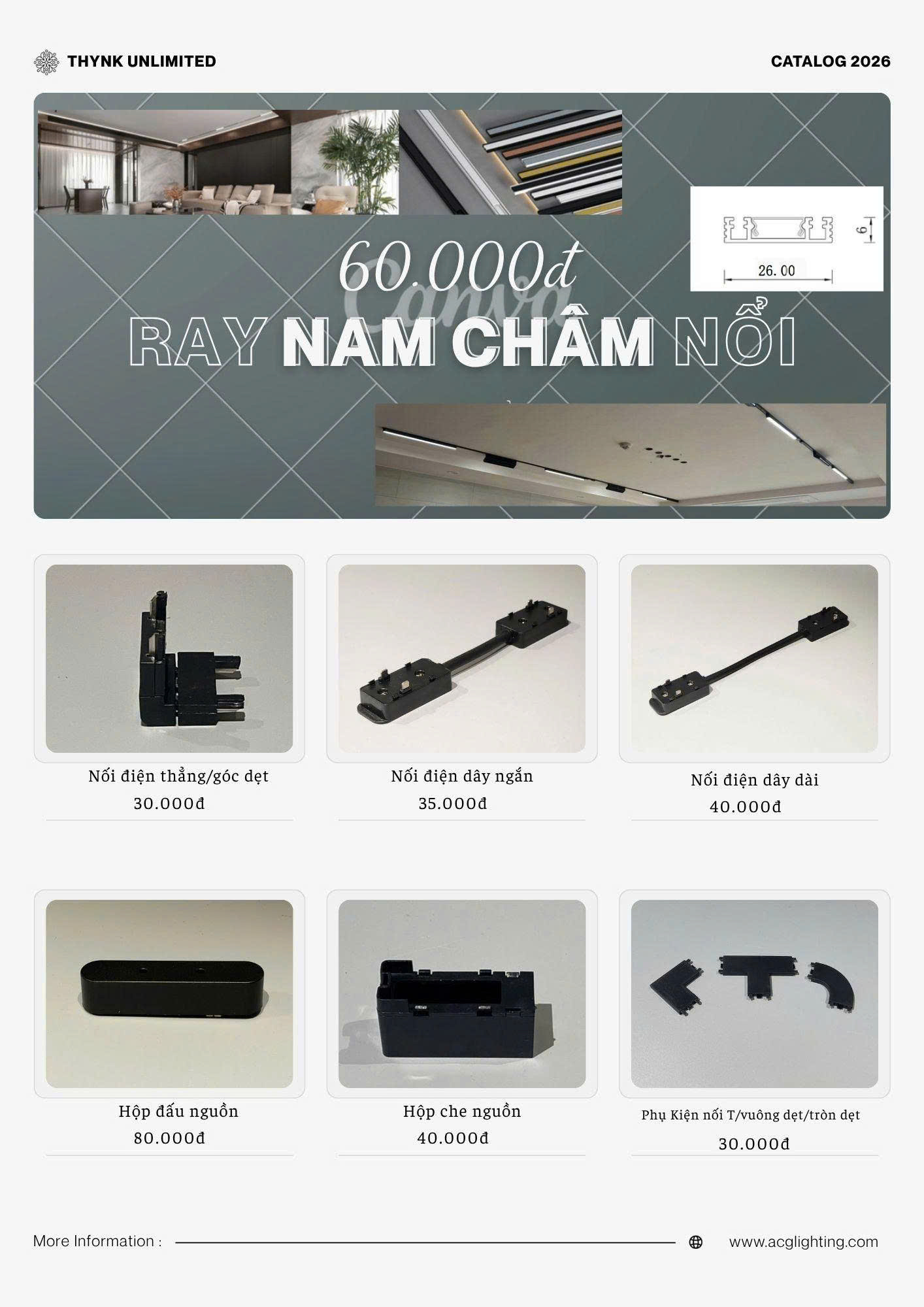 Ray nam châm nổi