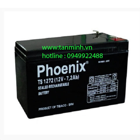 Ắc quy Phoenix TS1272 (12V-7.2AH)