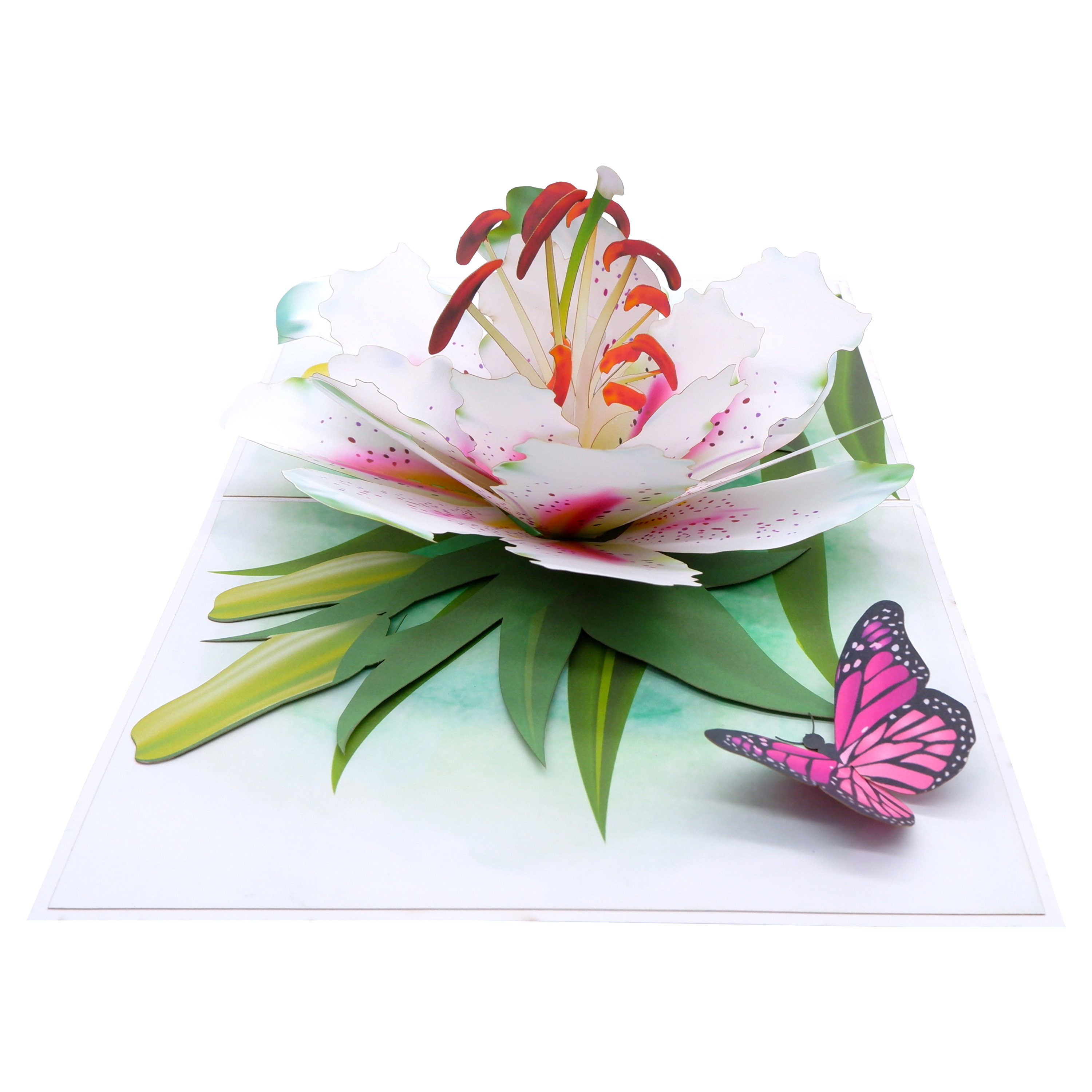 White Lily Flower Pop Up Card