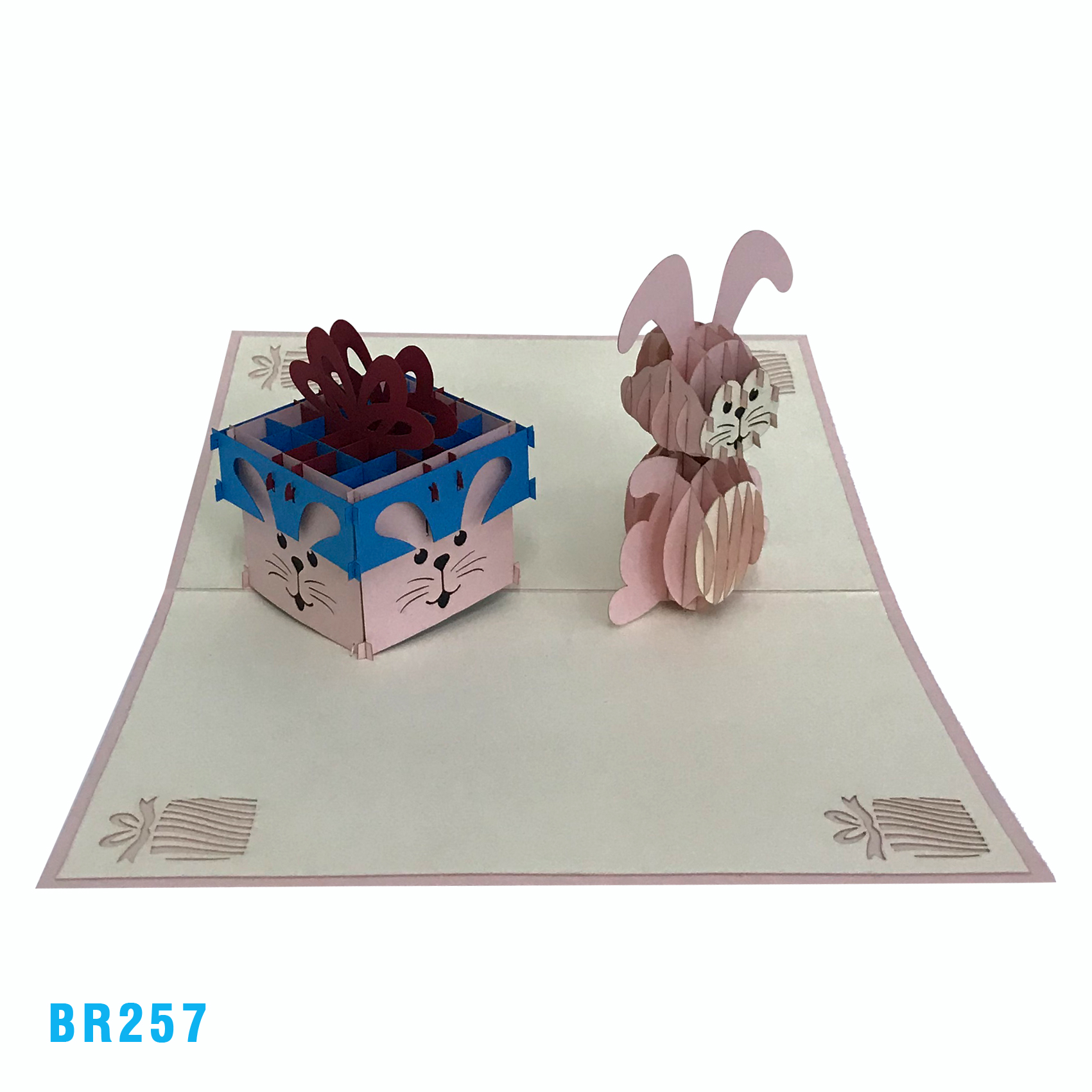 Birthday Rabbit Present Pop Up Card