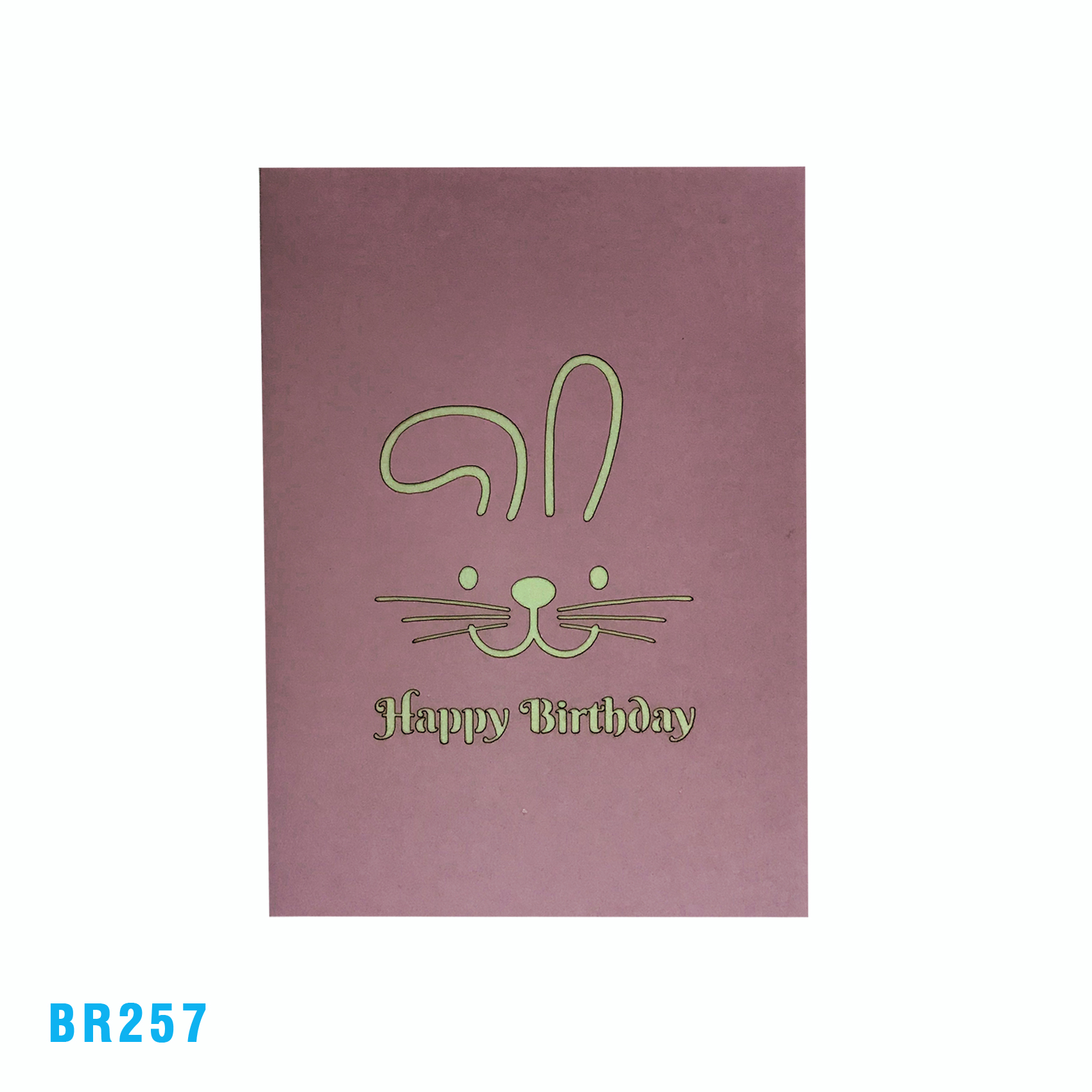 Birthday Rabbit Present Pop Up Card