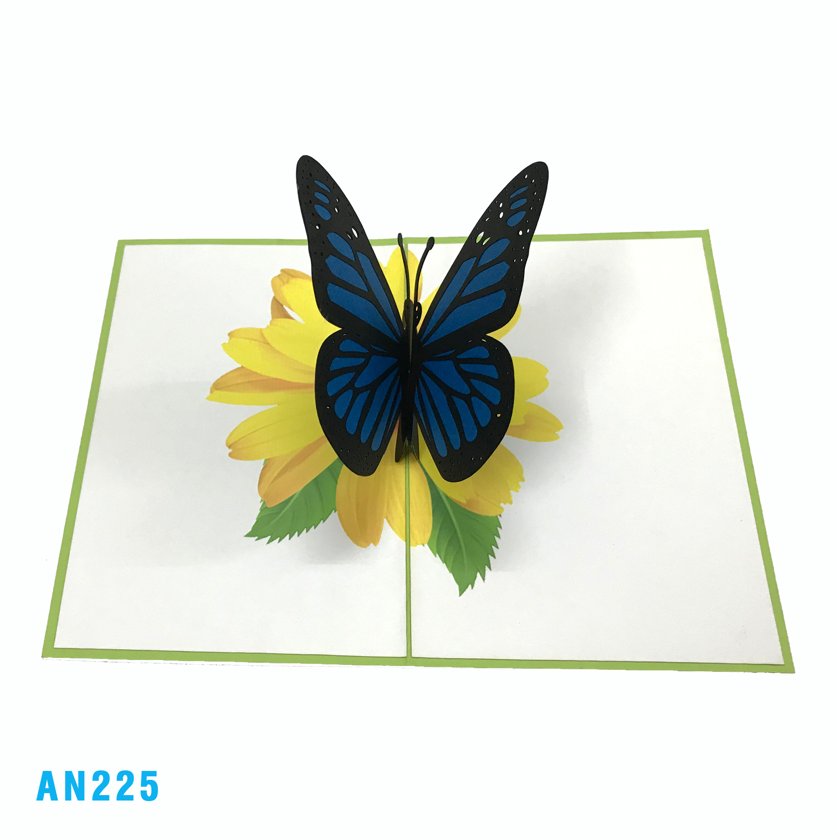 Butterfly Pop Up Card