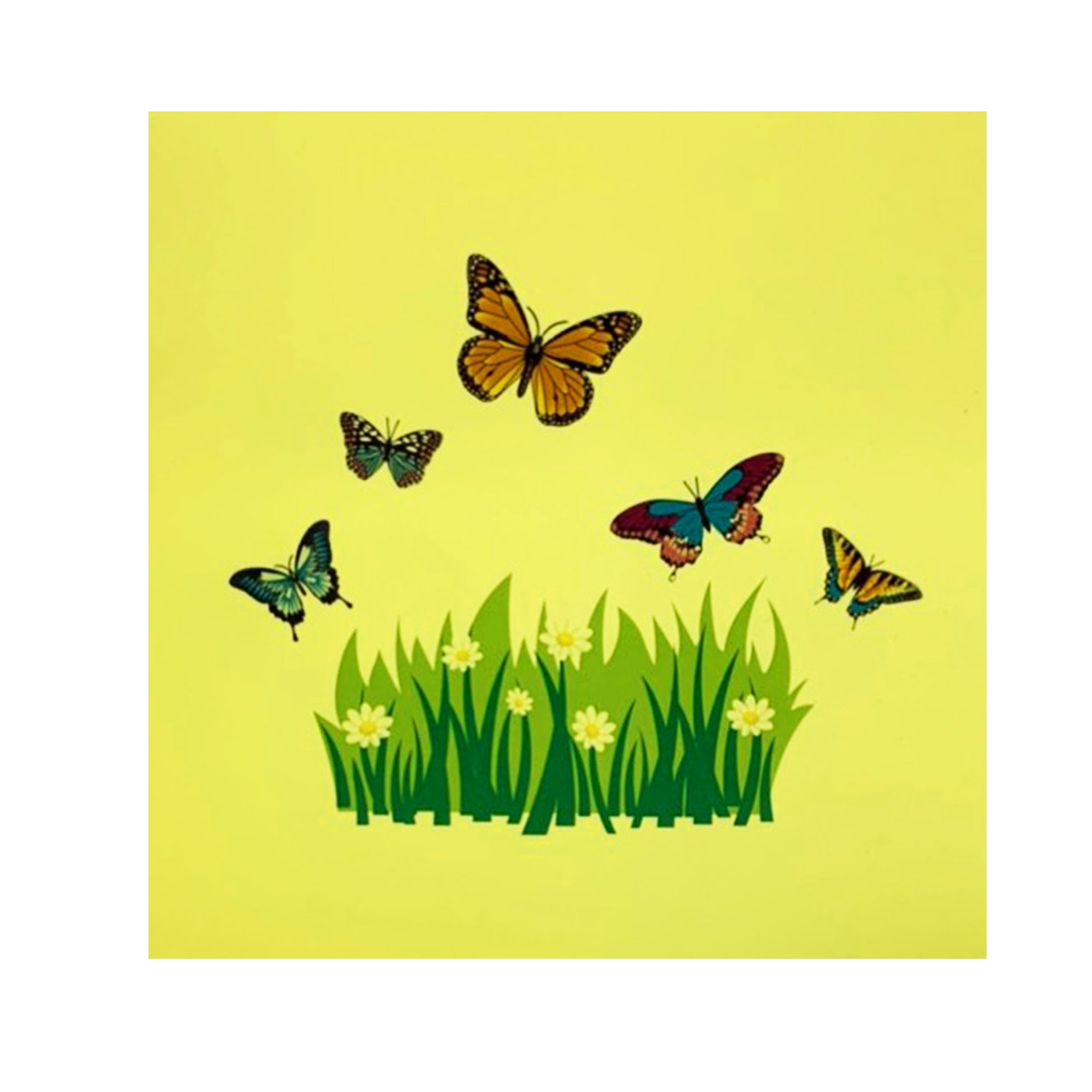 Butterfly Pop Up Card