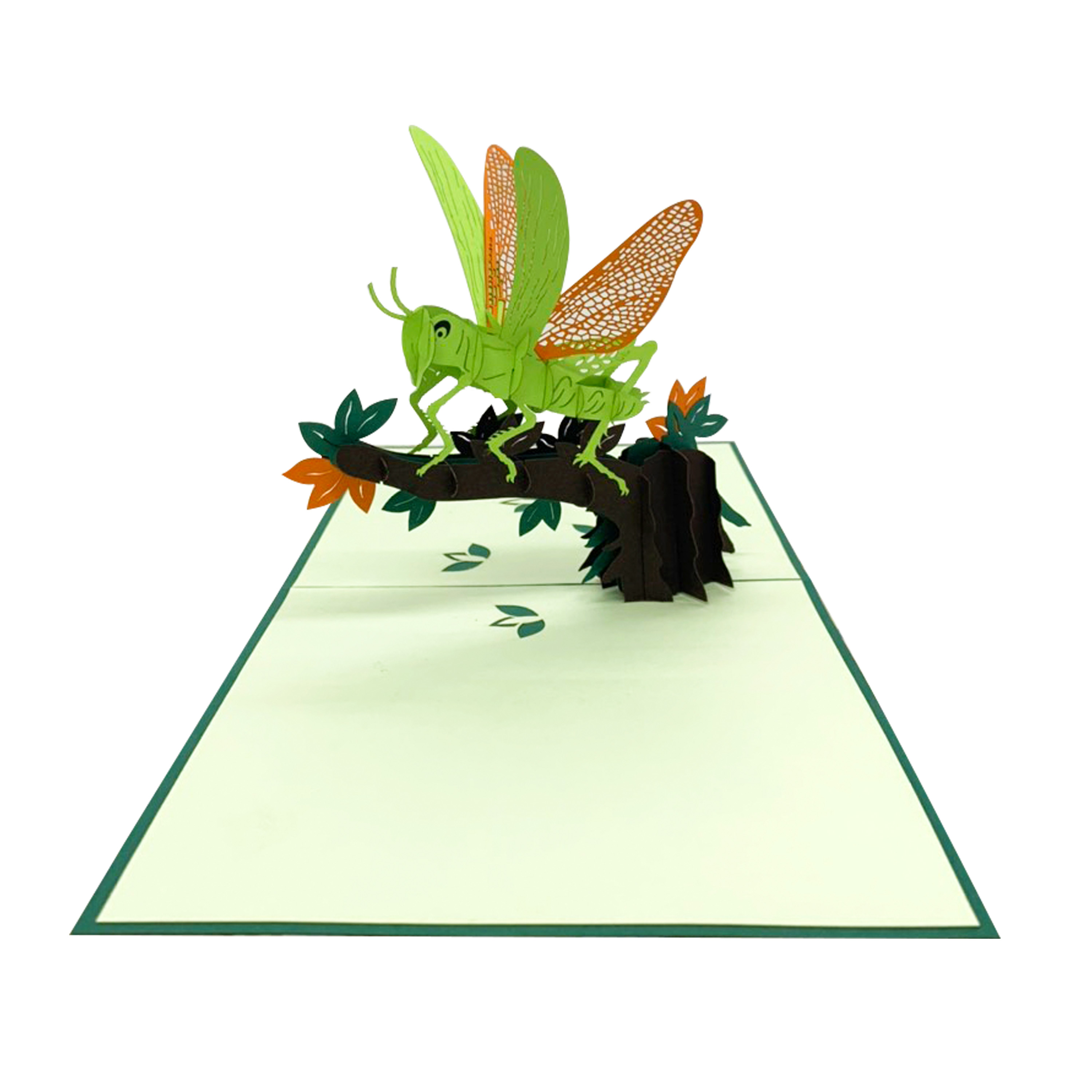 Grasshopper Pop Up Card