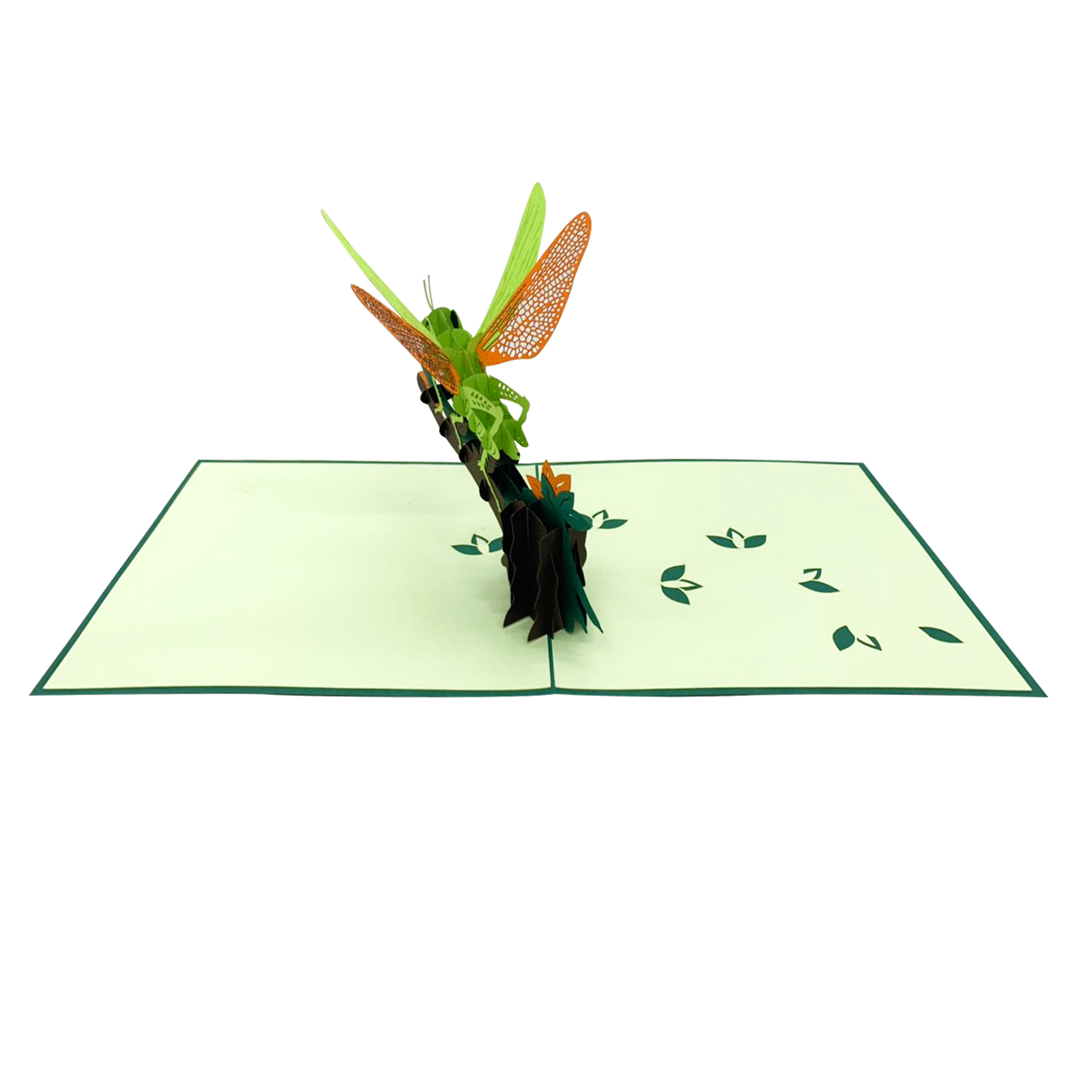 Grasshopper Pop Up Card