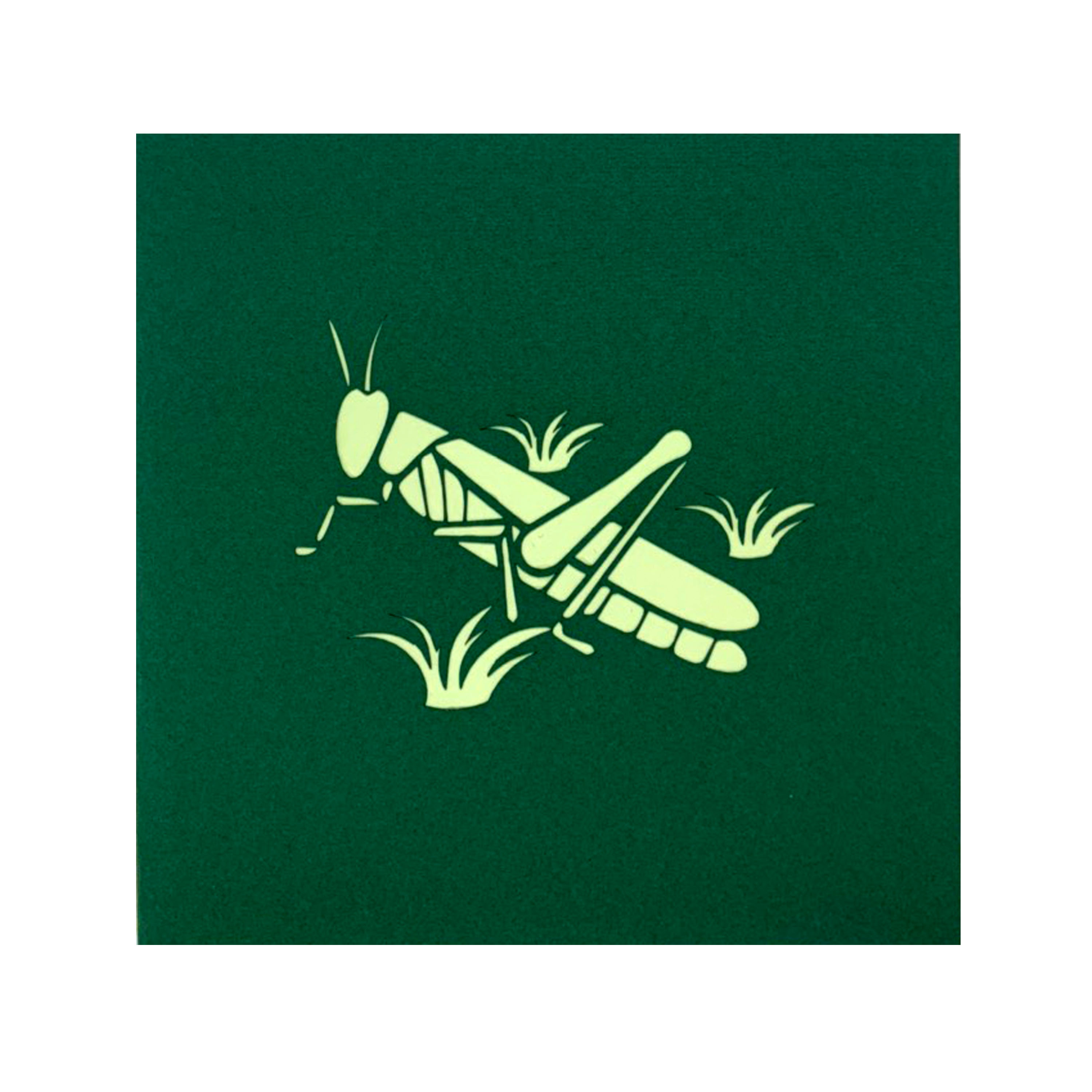Grasshopper Pop Up Card