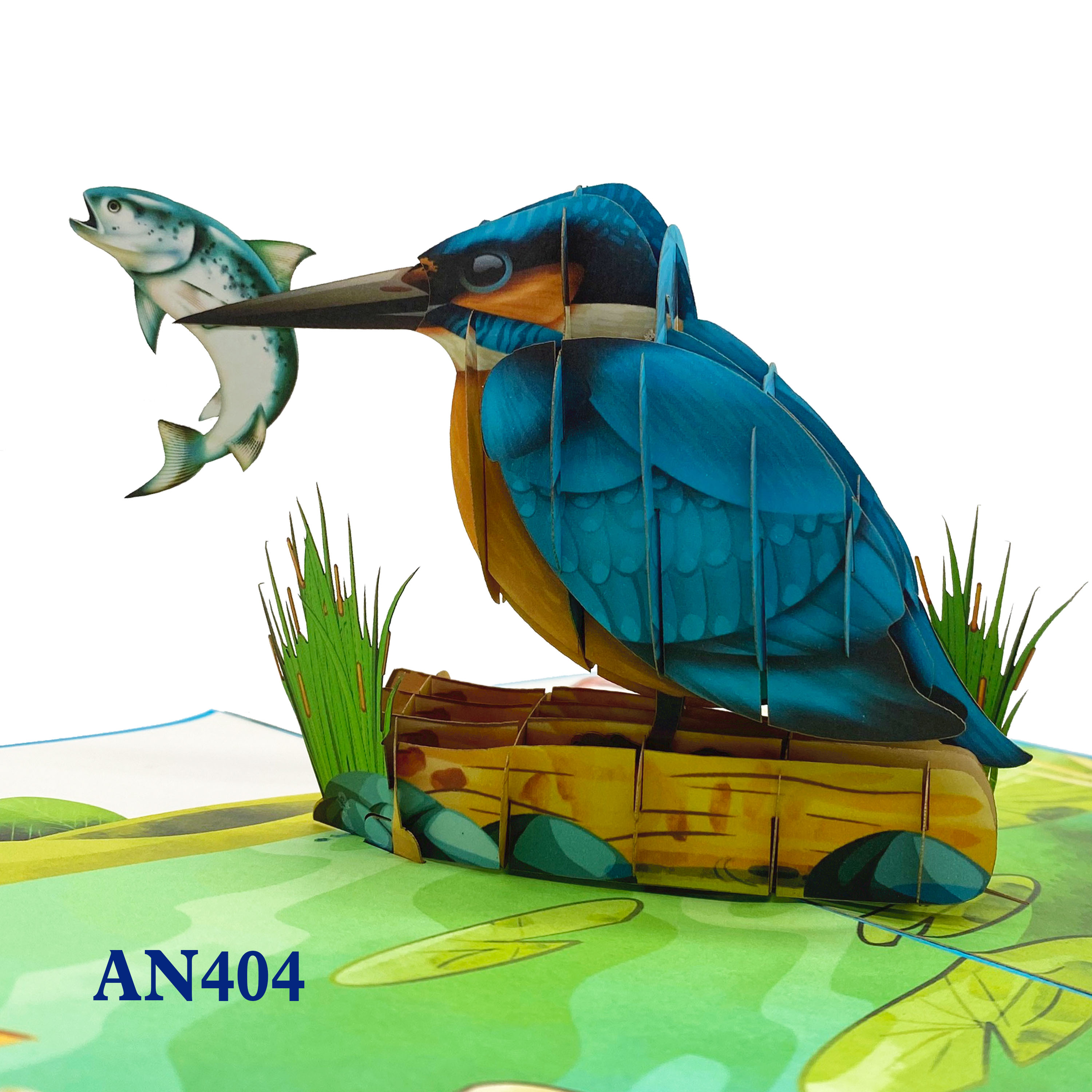 Kingfisher Pop Up Card