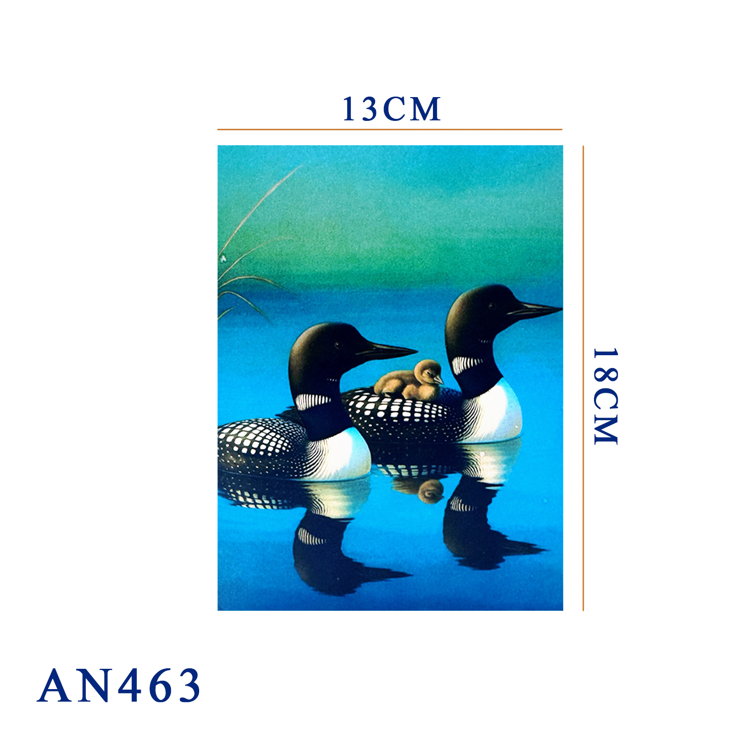 Loon Family 3D Pop-up Greeting Card