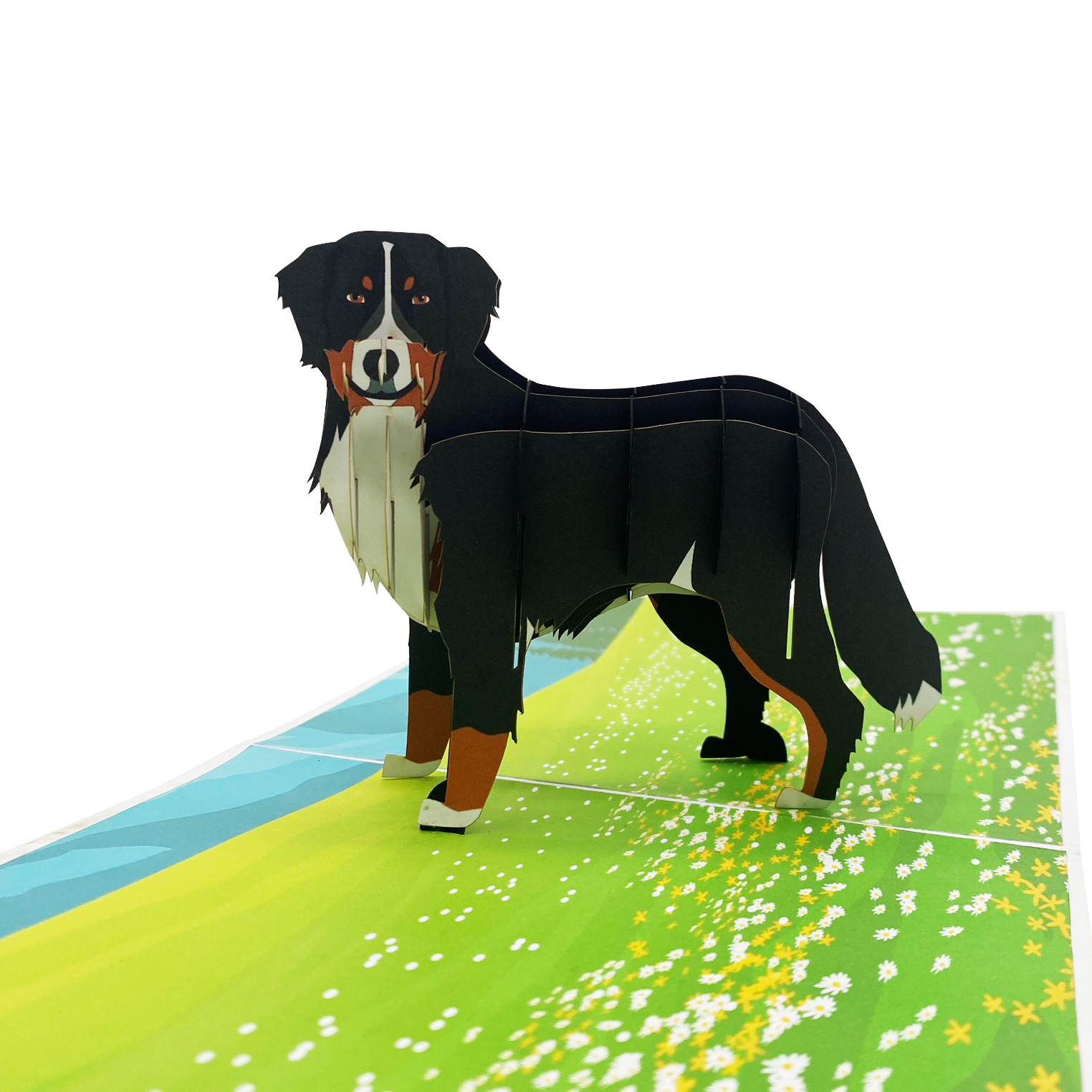 Bernese Mountain Dog Pop Up Card