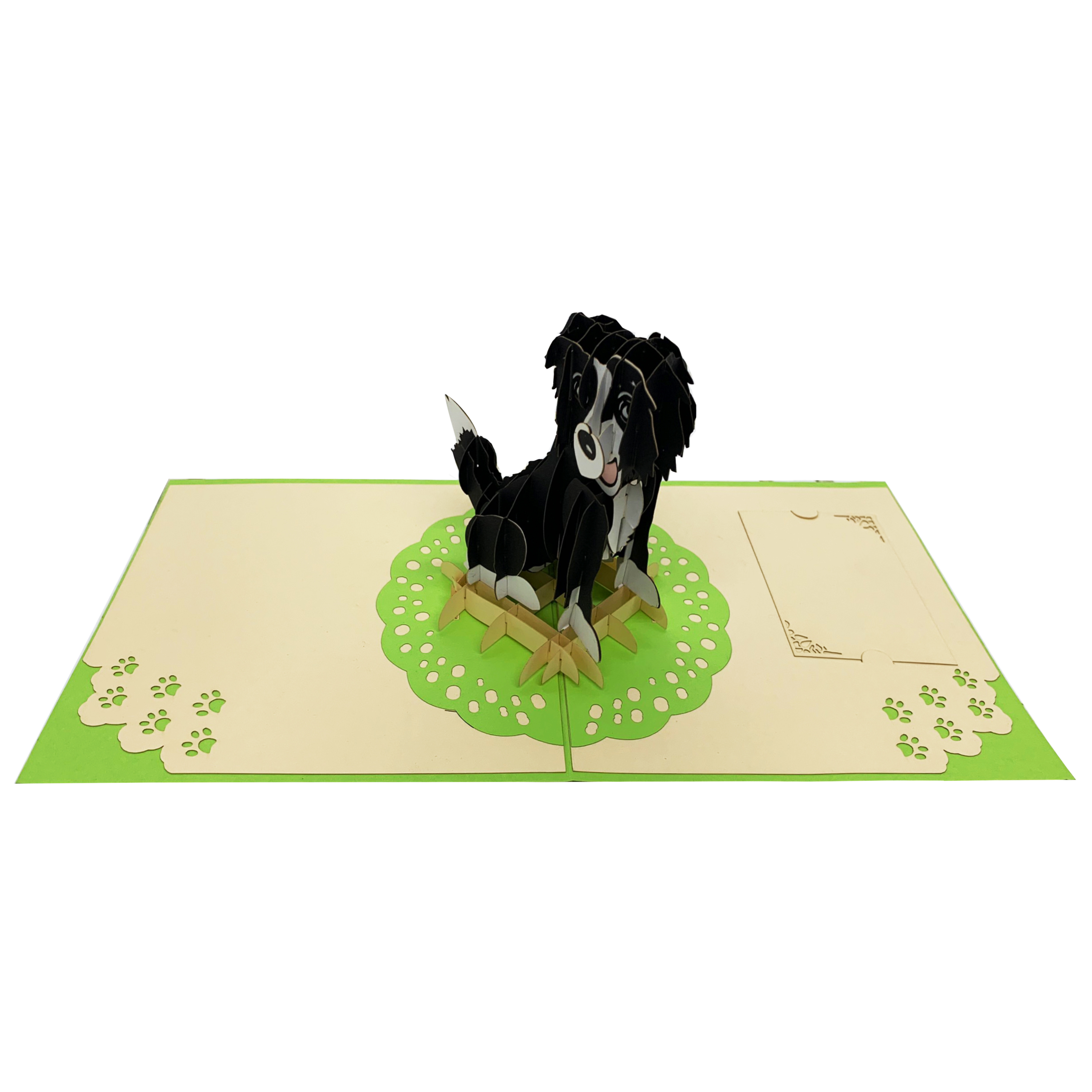 Border Collie Dog Pop Up Card
