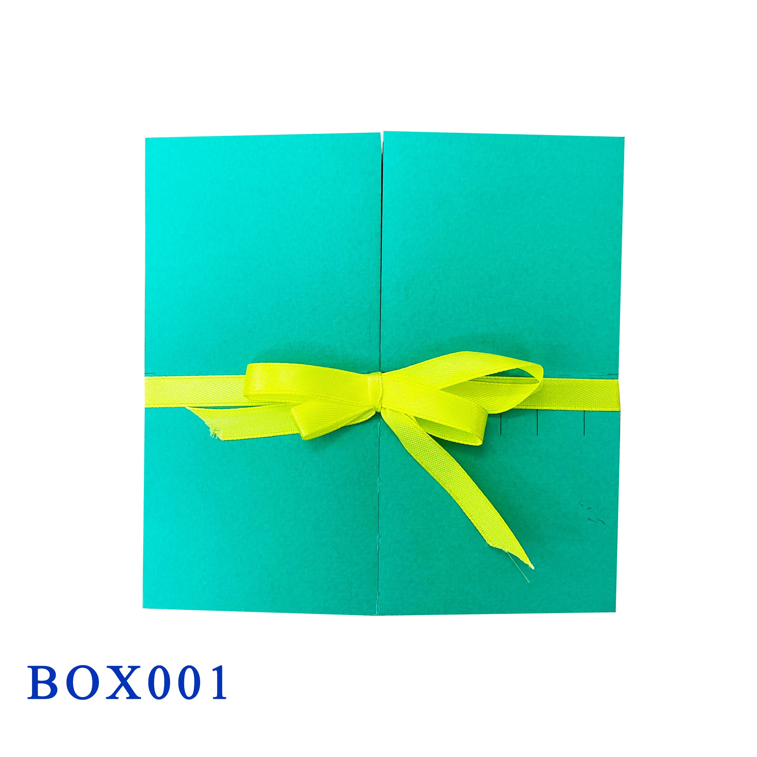 Dino Park Pop Up Box