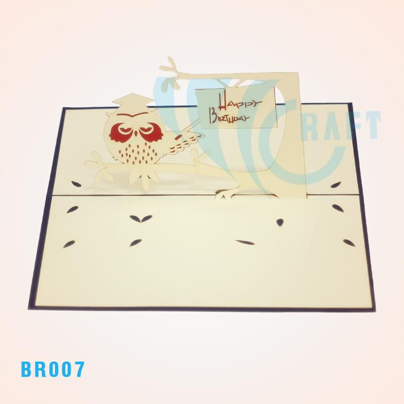 Birthday Owl Pop Up Card
