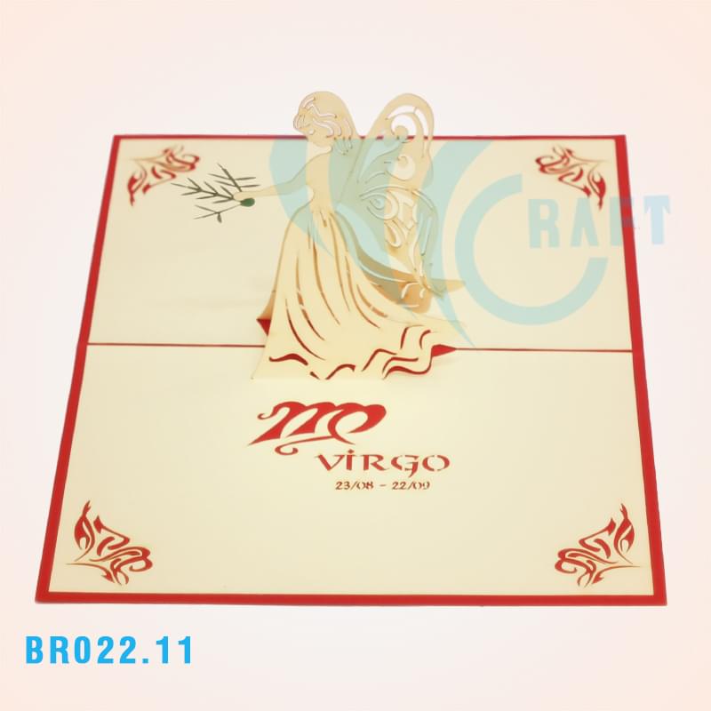 BR022.11 - VIRGO