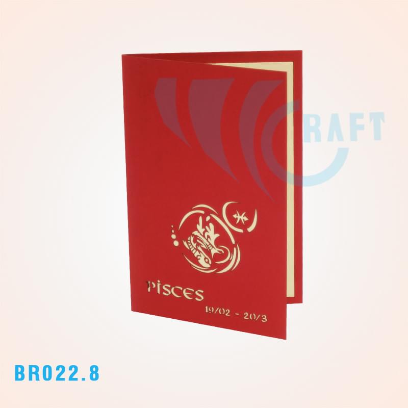 BR022.8 - PISCES