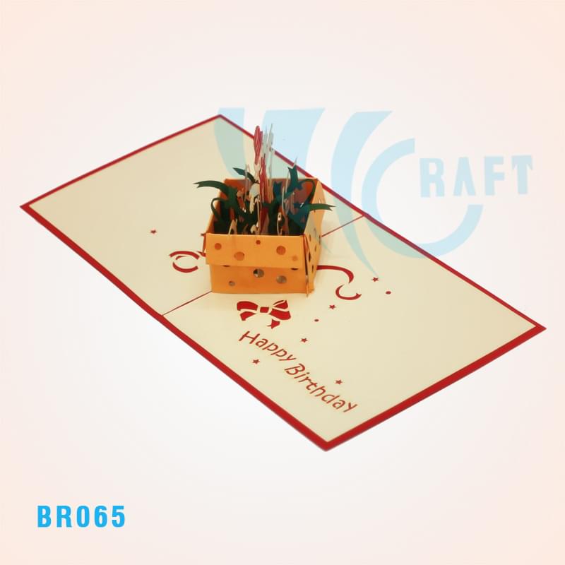 Birthday Clown Pop Up Card