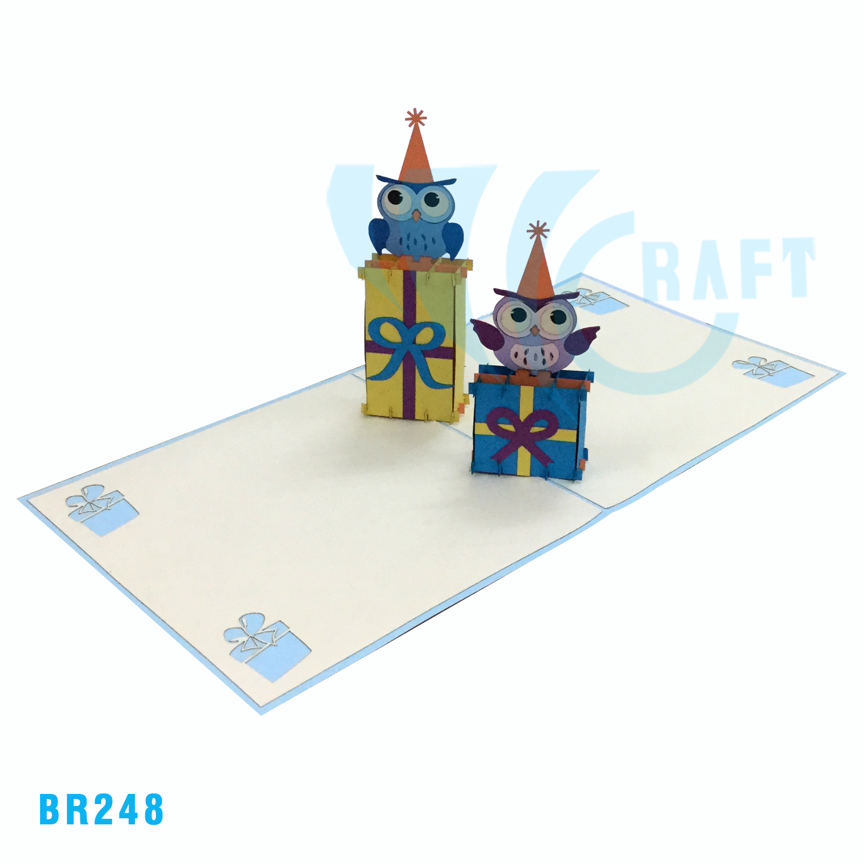 Birthday Owls Present Pop Up Card