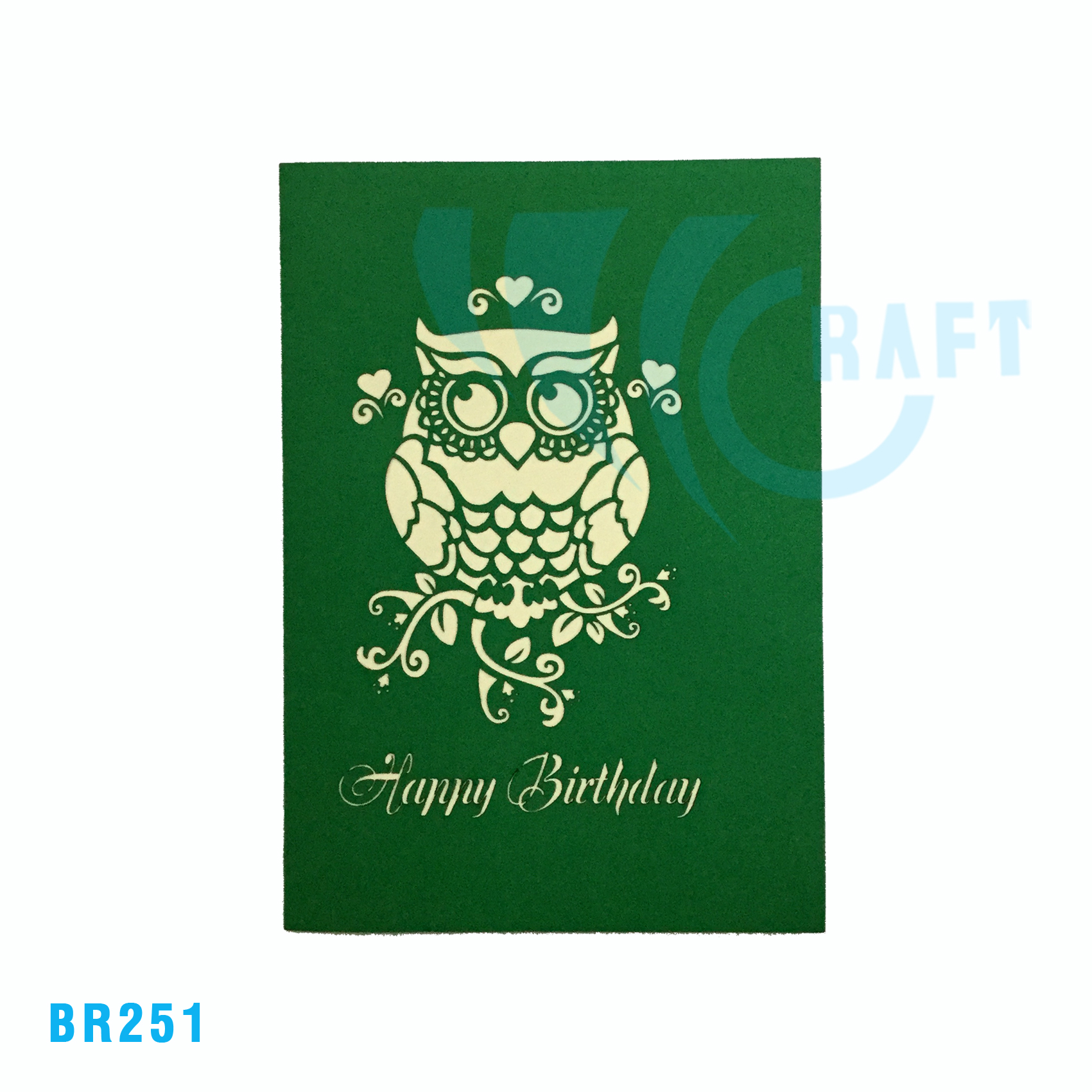 Birthday Owl Pop Up Card