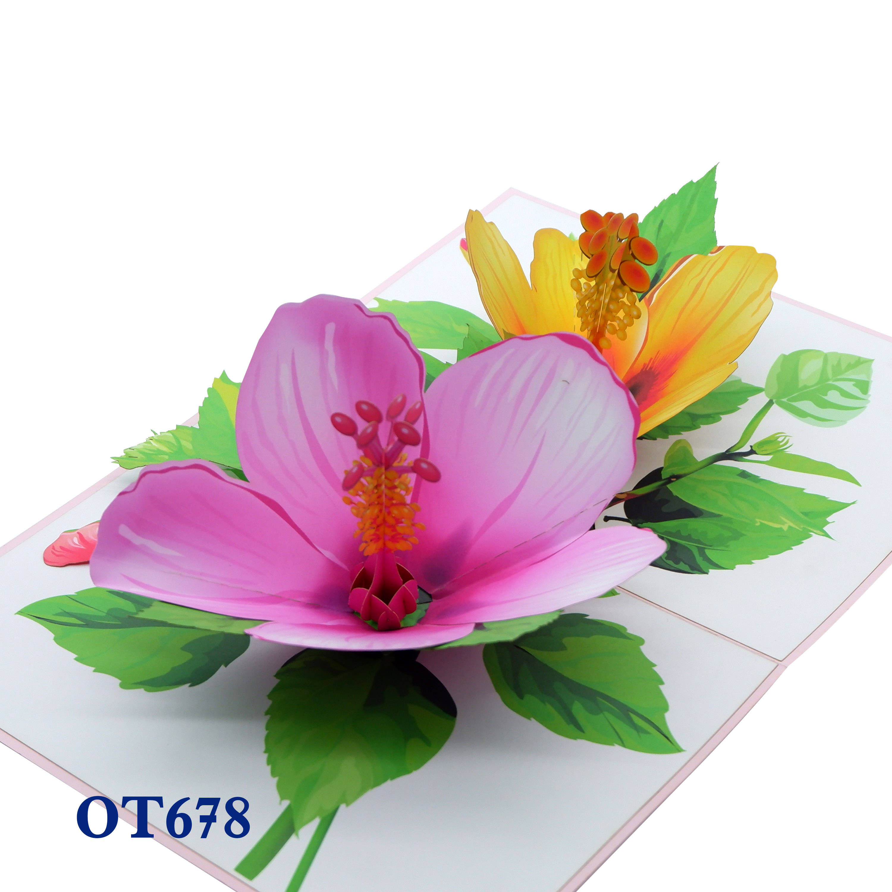 Colorful Hibiscus Pop Up Card