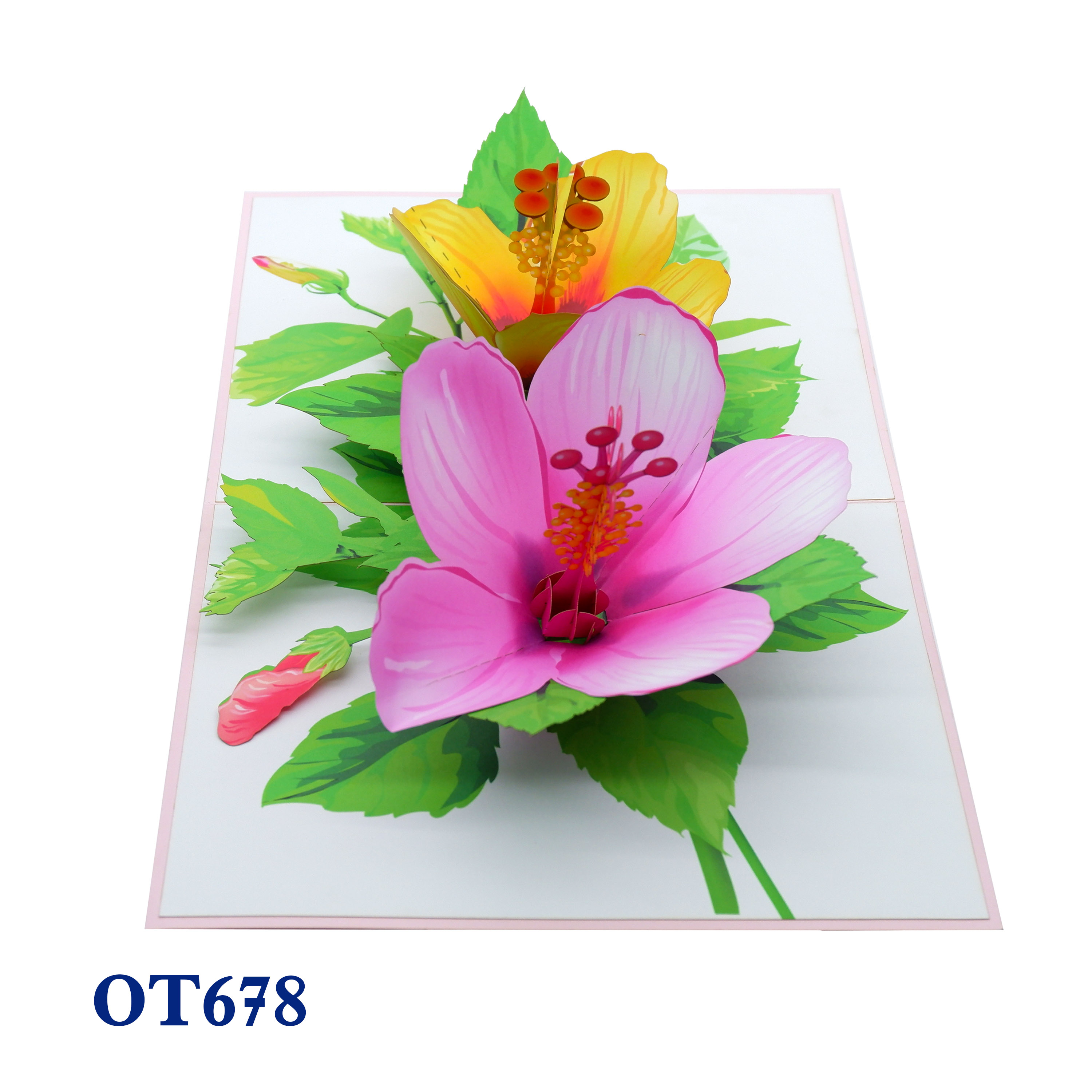 Colorful Hibiscus Pop Up Card