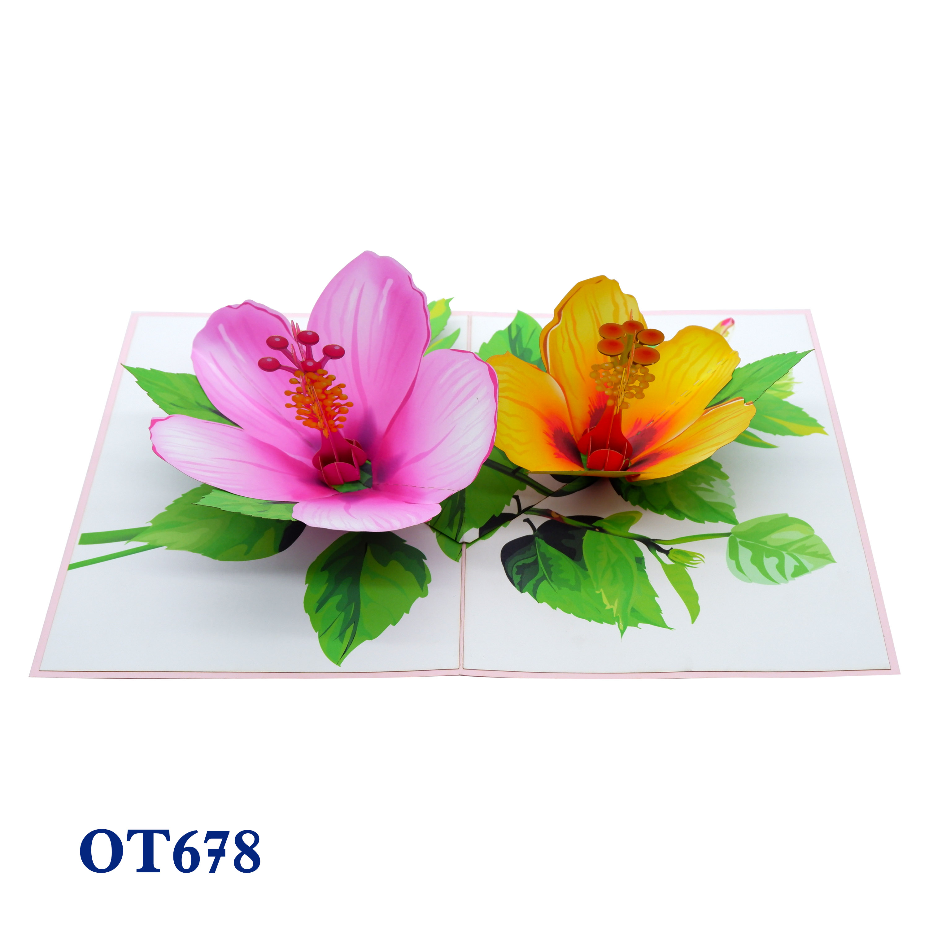 Colorful Hibiscus Pop Up Card